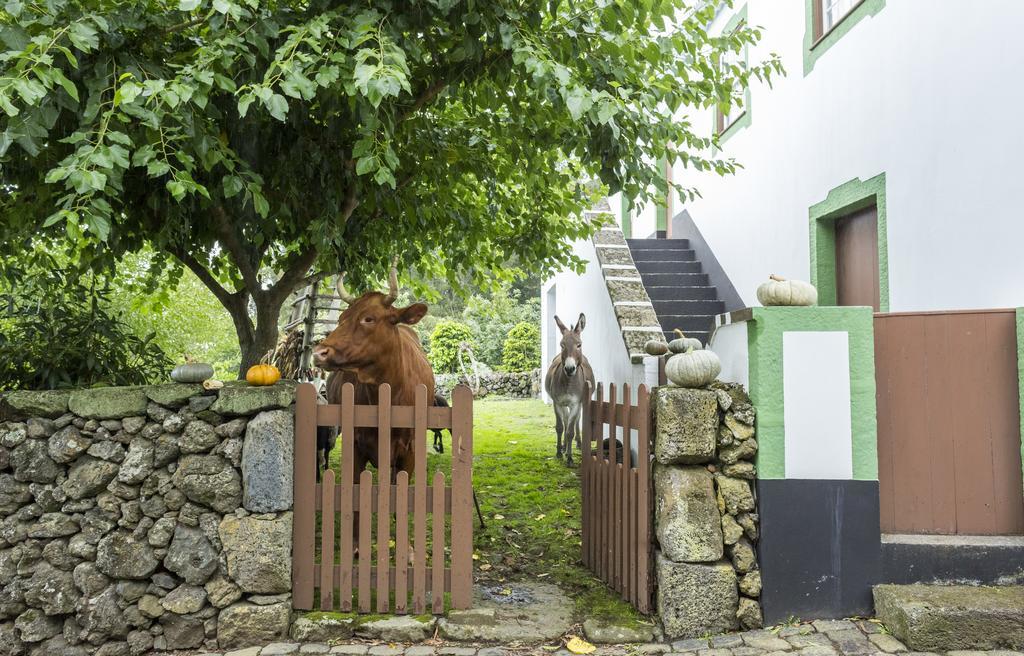 Quinta Do Martelo Hotel Angra do Heroismo Ngoại thất bức ảnh